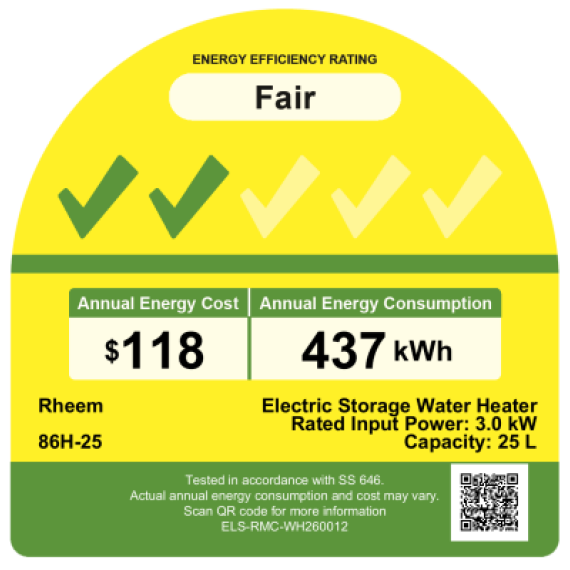 RHEEM 100V